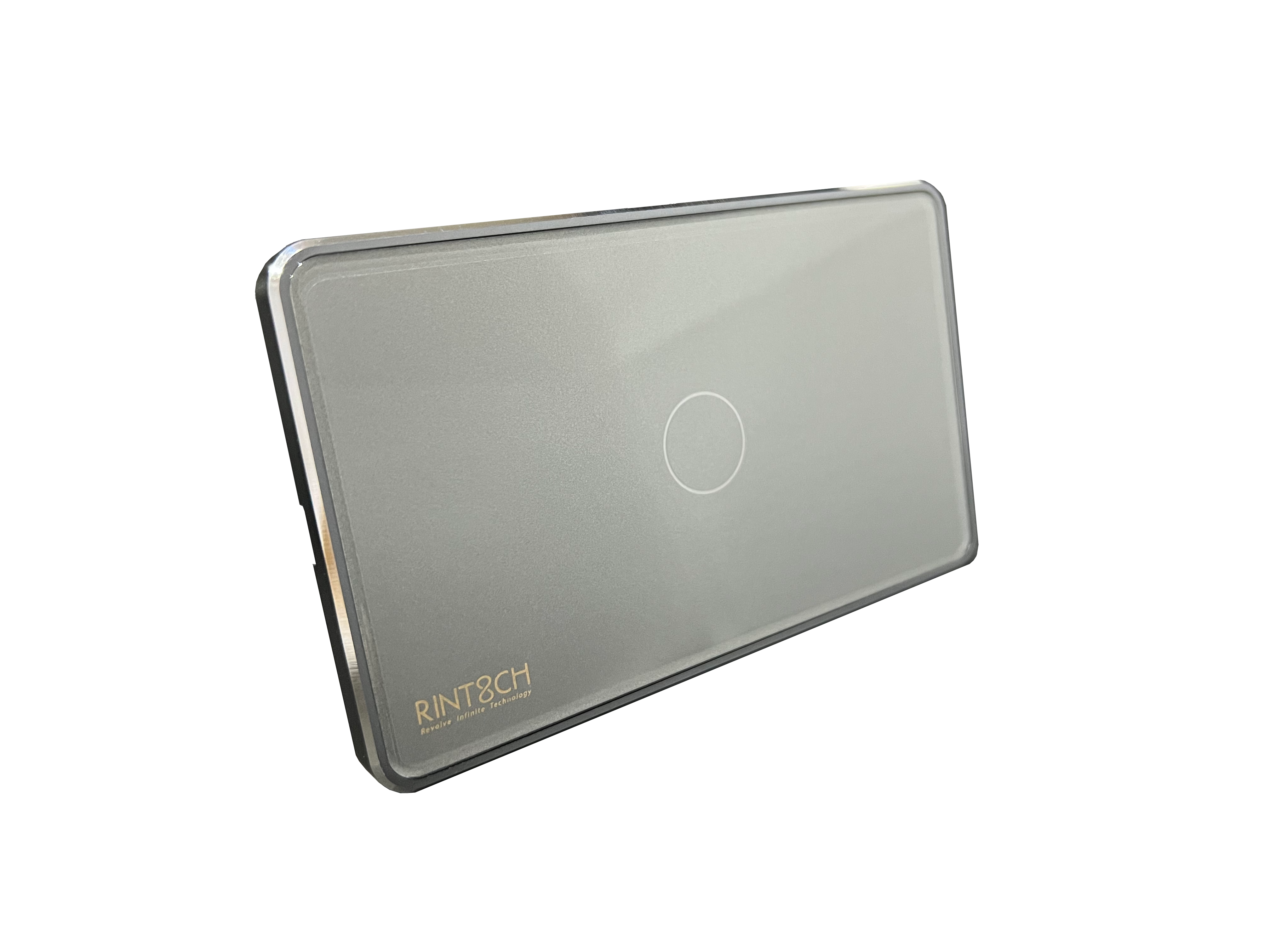 RINT8CH Switch (Grey)