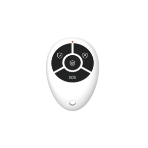 RINT8CH Remote (Full)